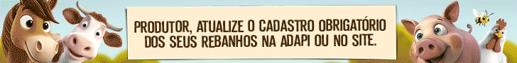 Governo do Piauí Governo do Piauí