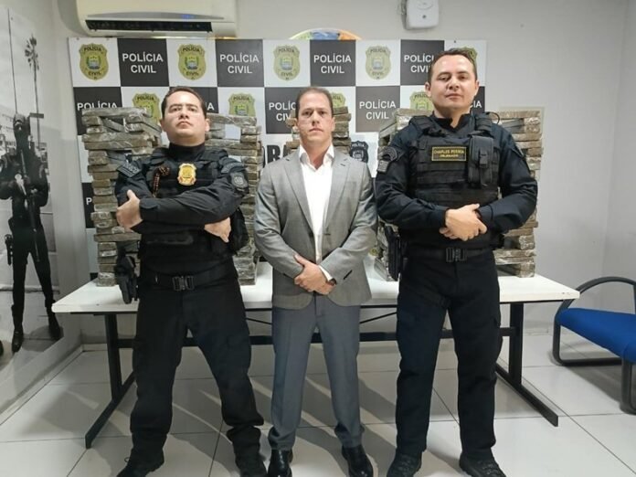 cats--4928c645c1c246b2