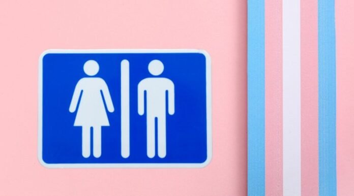 mpf-apura-efeitos-de-lei-de-teresina-sobre-acesso-de-pessoas-trans-e-travestis-a-banheiros--bbace0f9b80cade6