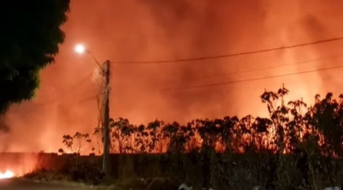 a-ocorrencia-apresenta-varios-focos-de-fogo-mobilizando-equipes-do-corpo-de-bombeiros-que-permanecem-no-local--9e5a638e54b97fb8